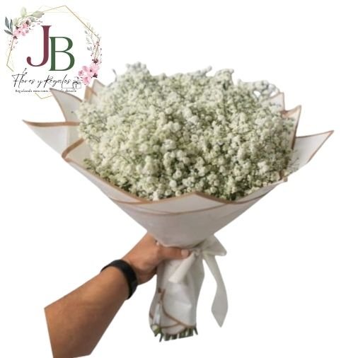 RAMO DE GYPSOPHILA"