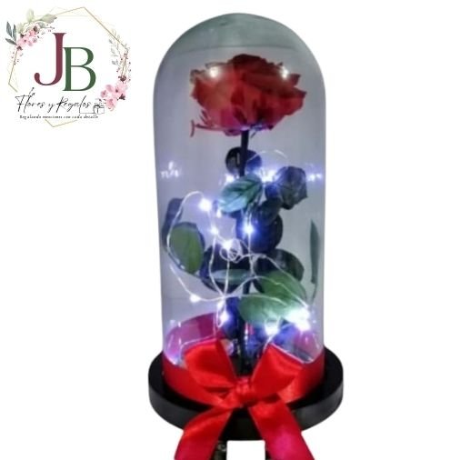 ROSA PRESERVADA EN CÚPULA Y LUCES