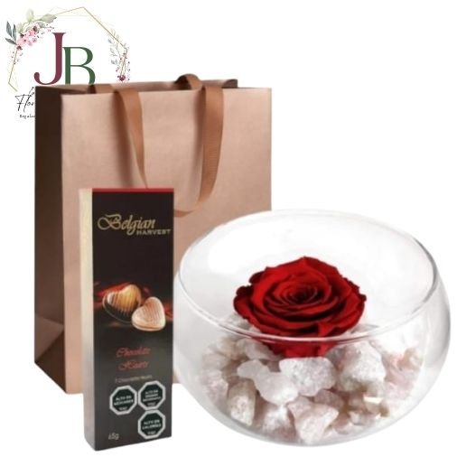 ROSA PRESERVADA EN PECERA