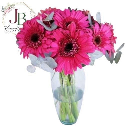 FLORERO DE 10 GERBERAS"